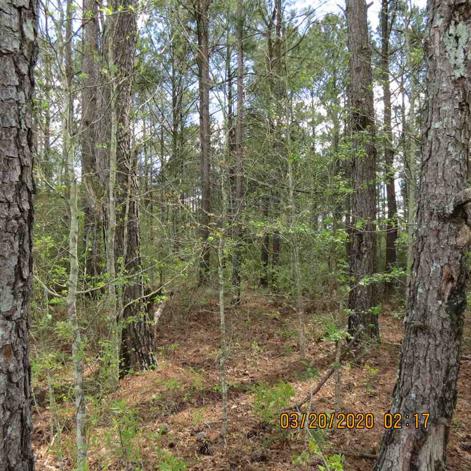 0 Potter Road Andalusia, AL 36421 - Photo 8 of 12 Gallery Image 8
