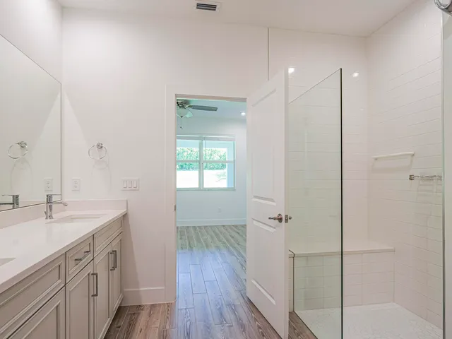 a bathroom with a sink a mirror a vanity and a shower