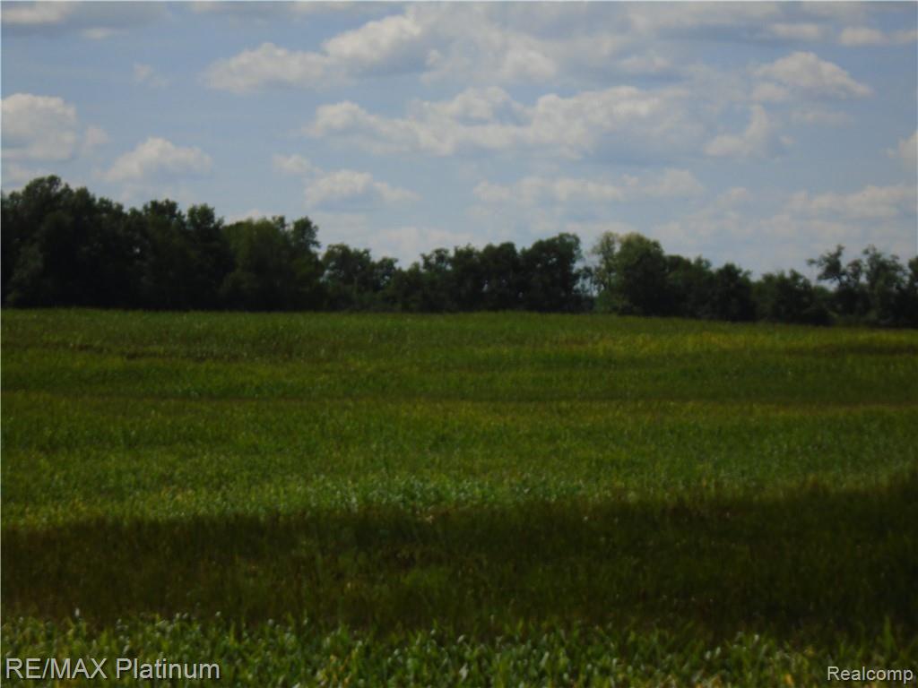 D 2 Germany Road Fenton, MI 48430 - Photo 14 of 27