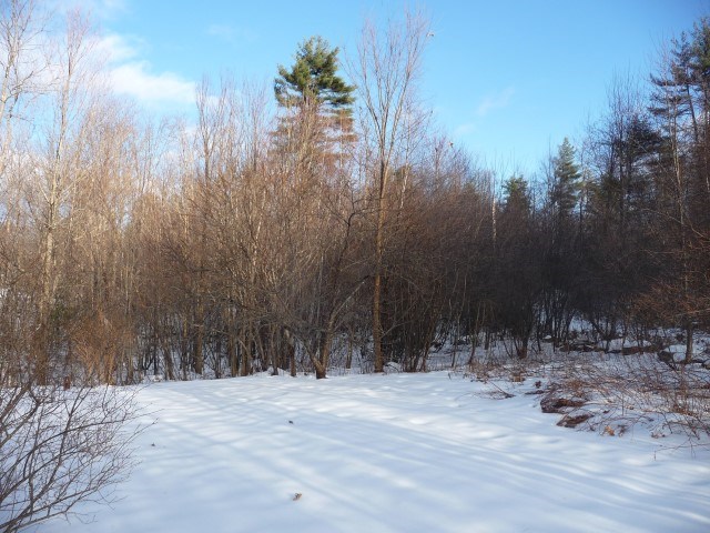 38 Shaw Road Northfield, NH 03276 - Photo 29 of 31