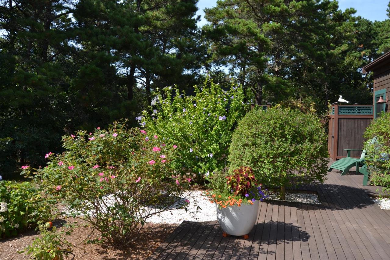 30 Capt Bellamy Road Wellfleet, MA 02667 - Photo 25 of 29 Additional Photo