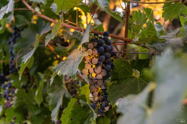 $7,995,000 | 512 Meadowood Lane, St. Helena, CA 94574