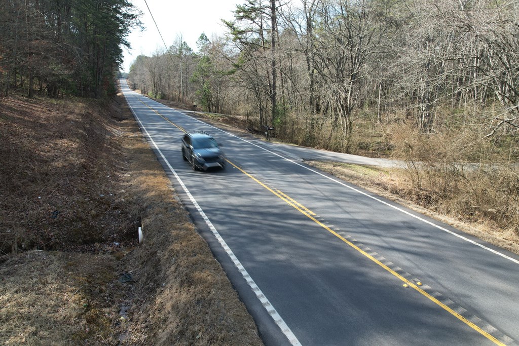 Cutcane Cutcane Road Mineral Bluff, GA 30559 - Photo 3 of 20 Gallery Image 3