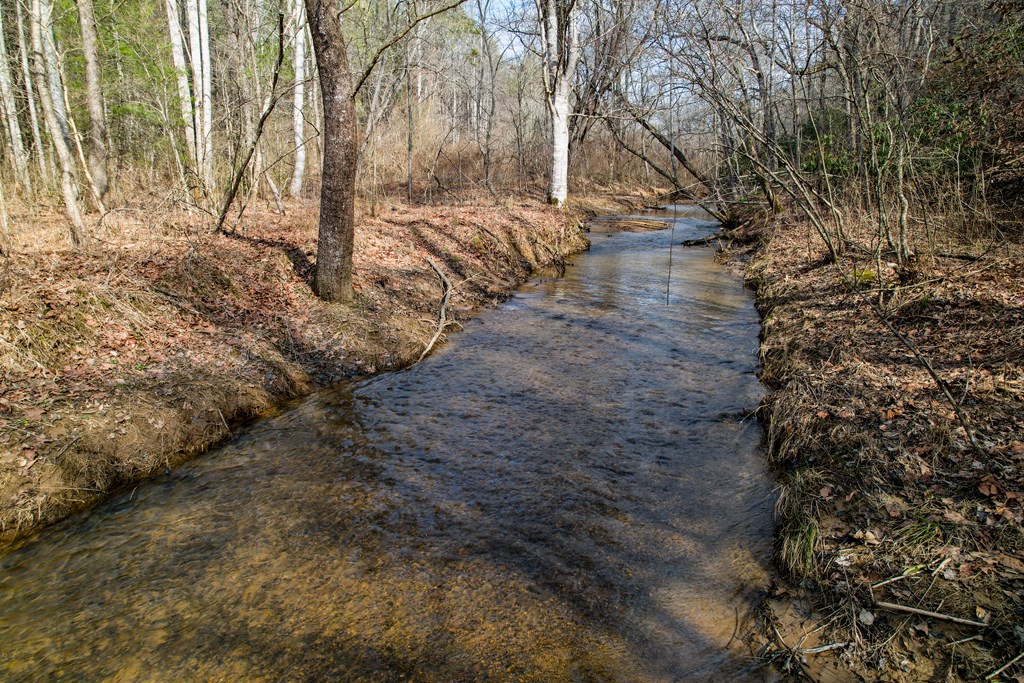 Cutcane Cutcane Road Mineral Bluff, GA 30559 - Photo 5 of 20 Gallery Image 5