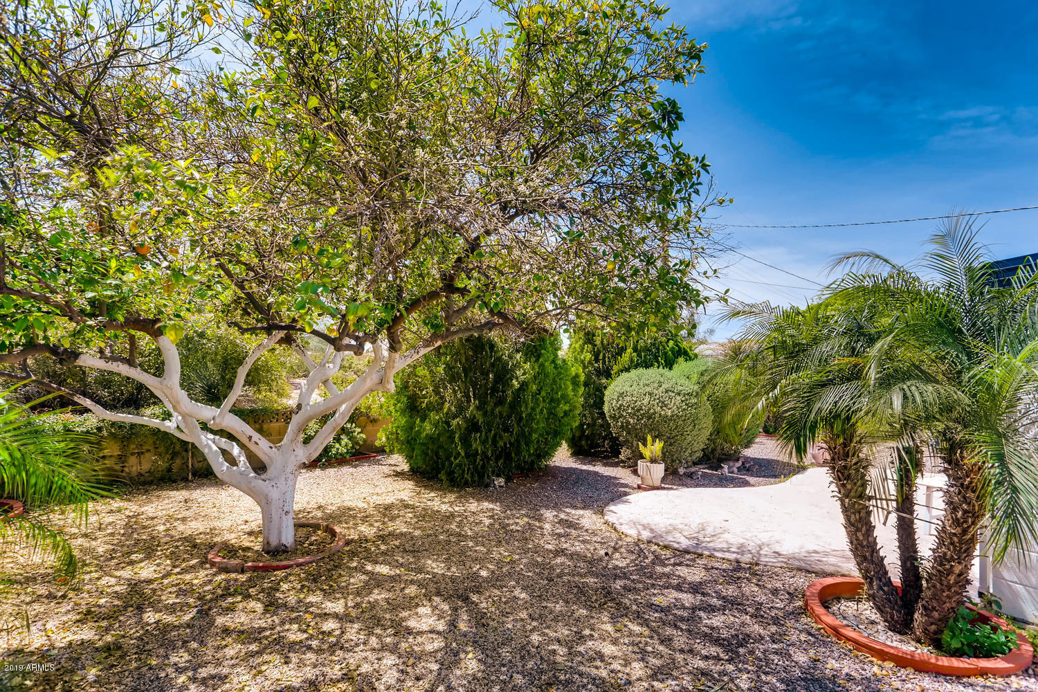 5545 East Decatur Street Mesa, AZ 85205 - Photo 14 of 14 5545 E Decatur St Mesa AZ-large-024-26-B