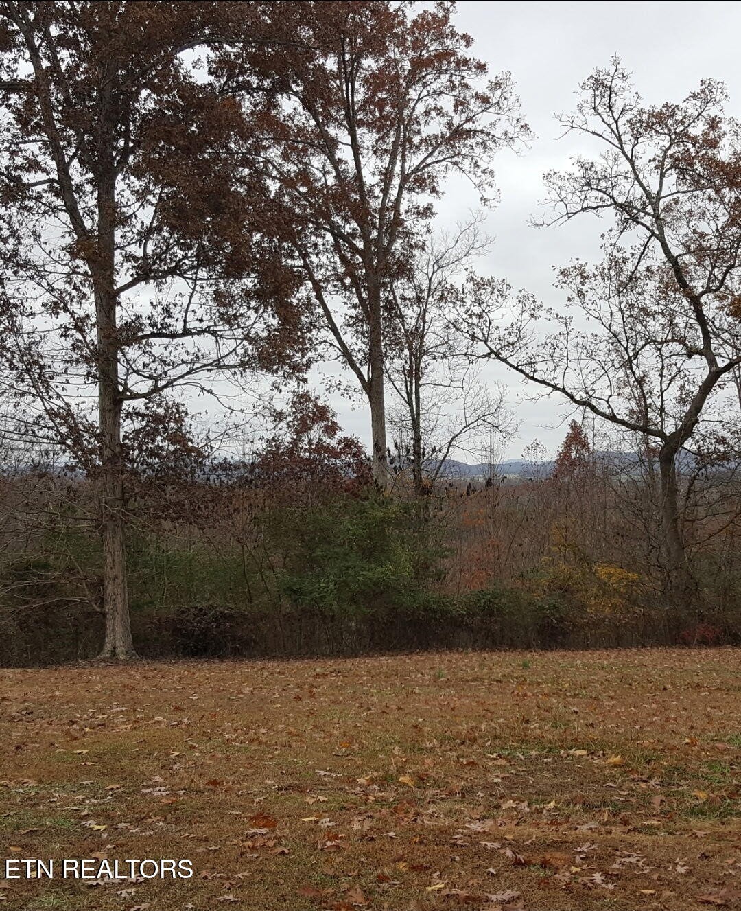 1055 Ridge Road Madisonville, TN 37354 - Photo 46 of 49 Gallery Image 46