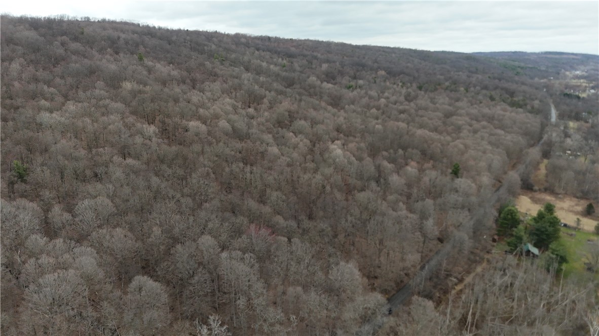 1592 Emerson Road Potter, NY 14507 - Photo 21 of 25