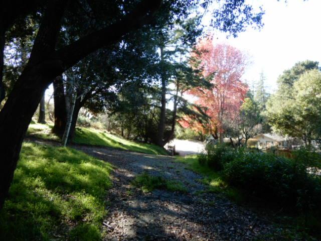 225 View Court Aptos, CA 95003 - Photo 31 of 39 a view of yard