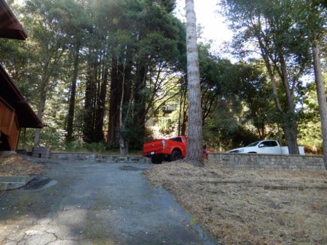 225 View Court Aptos, CA 95003 - Photo 6 of 39 a view of outdoor space and tree s