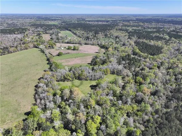 $665,000 | 18342 Hwy 440 Highway, Kentwood, LA 70444