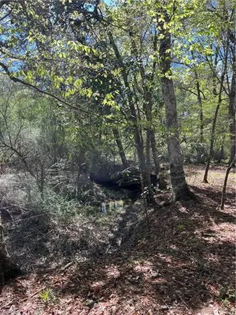 $665,000 | 18342 Hwy 440 Highway, Kentwood, LA 70444