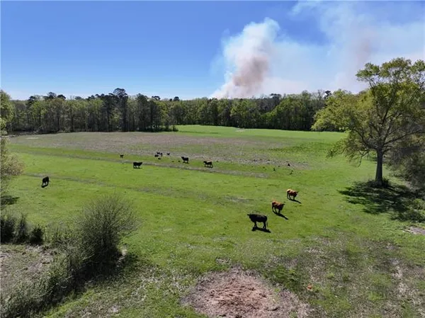 $665,000 | 18342 Hwy 440 Highway, Kentwood, LA 70444