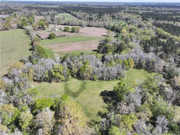 $665,000 | 18342 Hwy 440 Highway, Kentwood, LA 70444