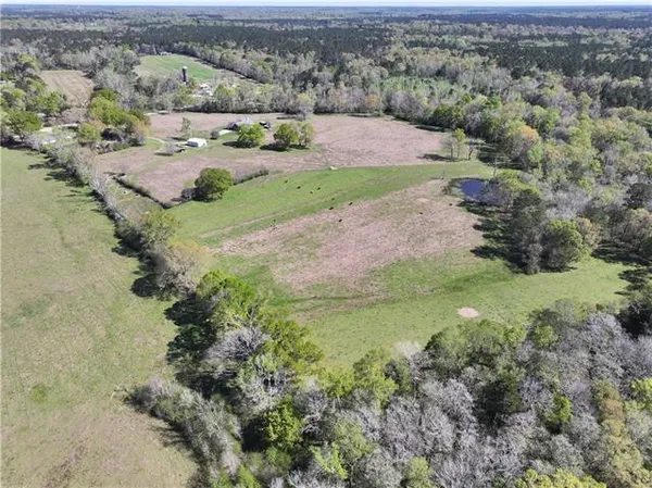 $665,000 | 18342 Hwy 440 Highway, Kentwood, LA 70444