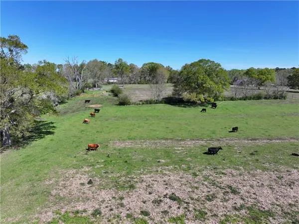 $665,000 | 18342 Hwy 440 Highway, Kentwood, LA 70444