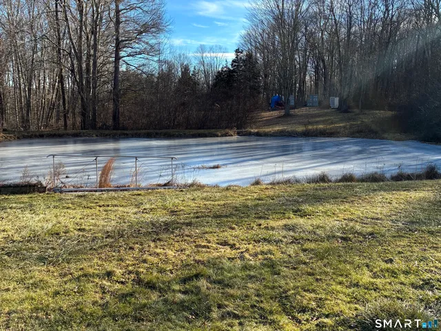 a view of yard with trees