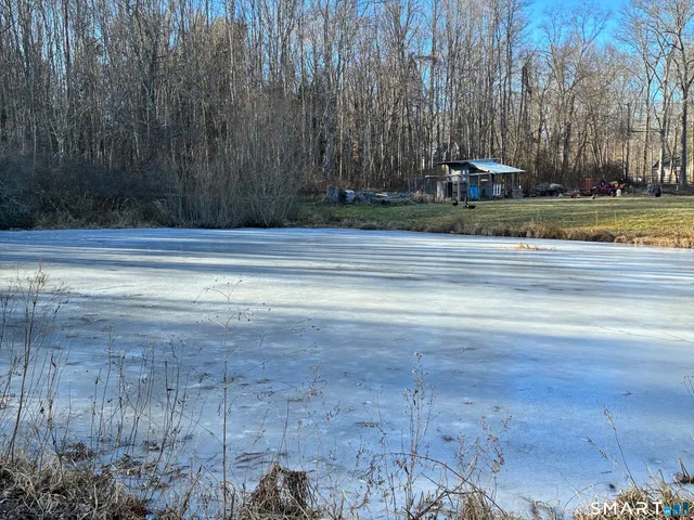 a view of a yard with large trees