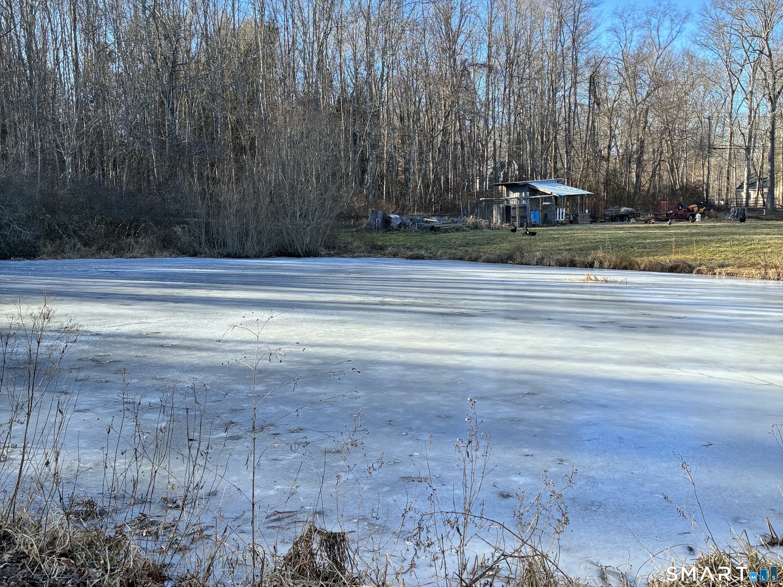 52 Alger Road East Haddam, CT 06423 - Photo 32 of 34 a view of a yard