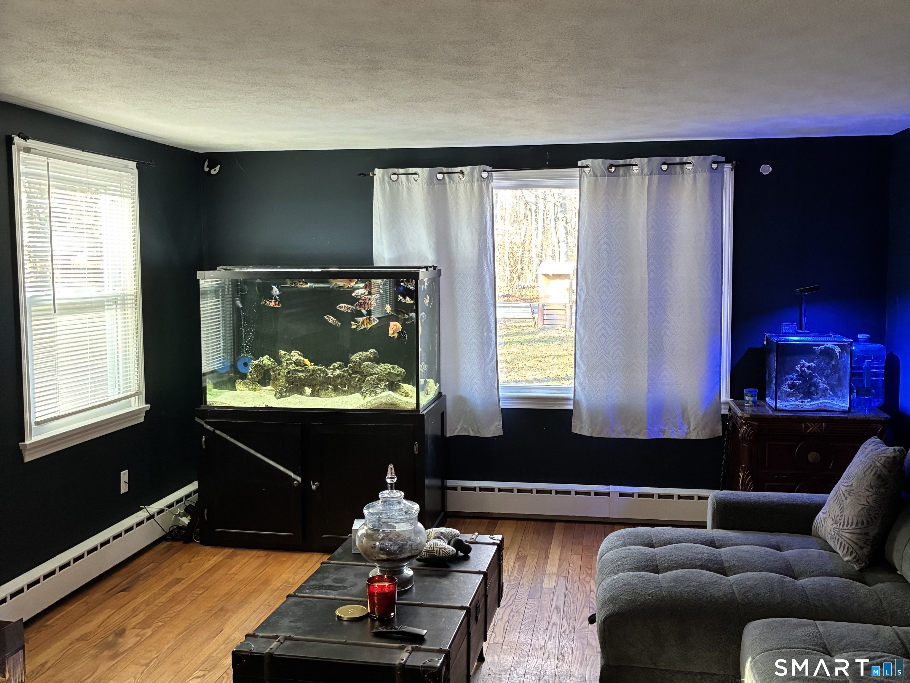 52 Alger Road East Haddam, CT 06423 - Photo 6 of 34 a living room with furniture and a window