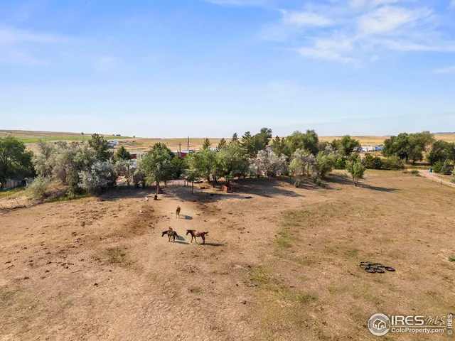 a view of a dry yard with trees