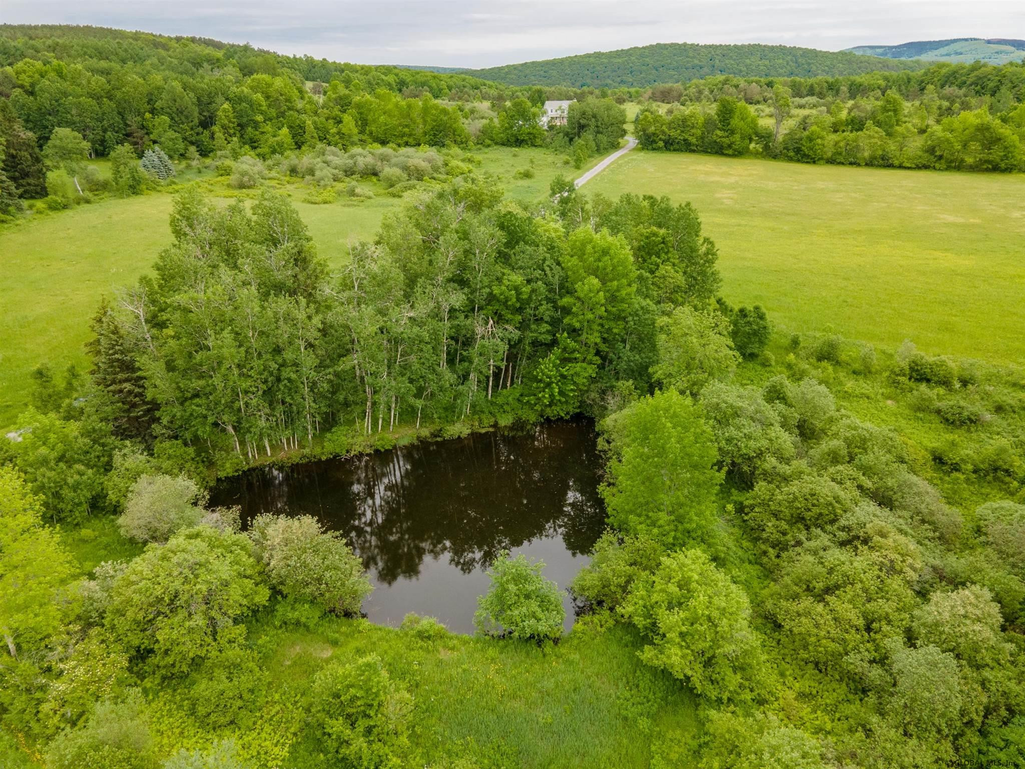 192 Skinner Hill Road Worcester, NY 12197 - Photo 35 of 41 Photo 35