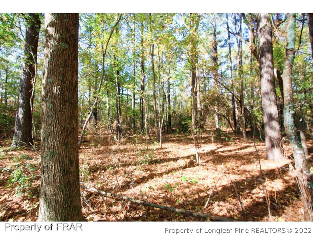 2553 Chason Road Parkton, NC 28371 - Photo 1 of 8 Gallery Image 1