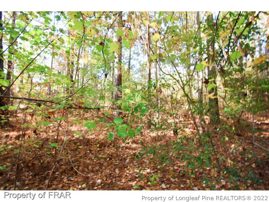 2553 Chason Road Parkton, NC 28371 - Photo 2 of 8 Gallery Image 2