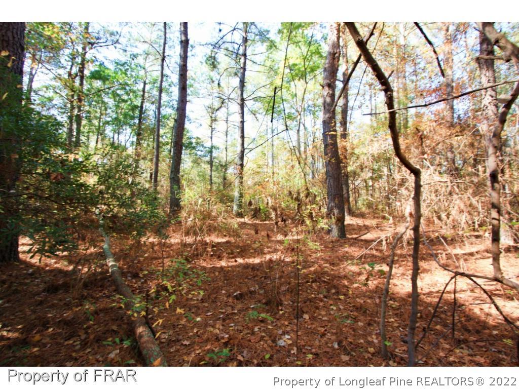 2553 Chason Road Parkton, NC 28371 - Photo 3 of 8 Gallery Image 3