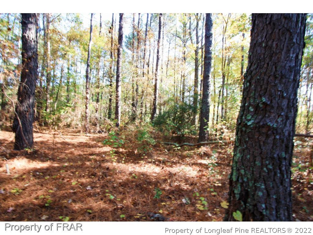 2553 Chason Road Parkton, NC 28371 - Photo 4 of 8 Gallery Image 4