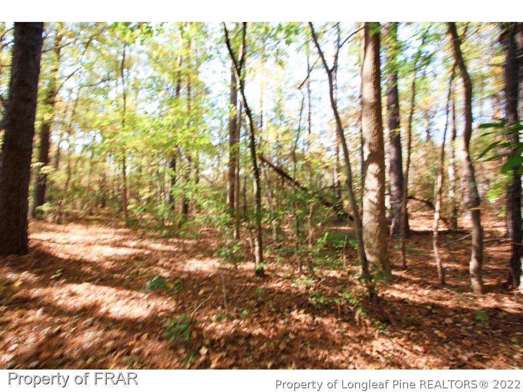 2553 Chason Road Parkton, NC 28371 - Photo 5 of 8 Gallery Image 5