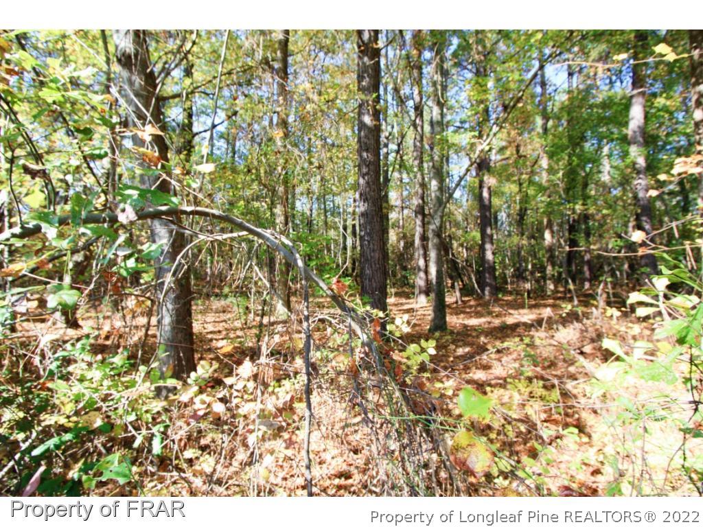 2553 Chason Road Parkton, NC 28371 - Photo 6 of 8 Gallery Image 6