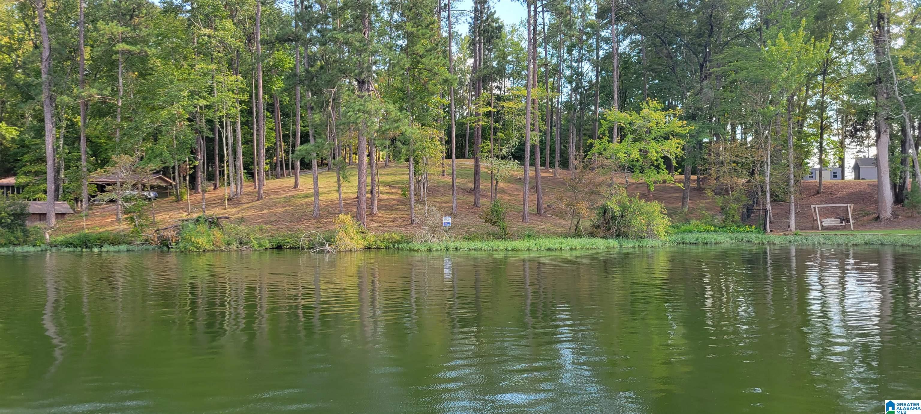 1830 Mimosa Point Road, Unit 5 Rockford, AL 35136 - Photo 5 of 25