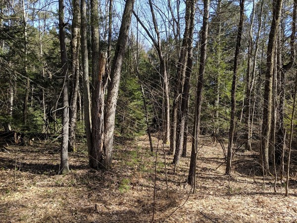 0 Horton Road Orange, MA 01364 - Photo 1 of 3 Gallery Image 1