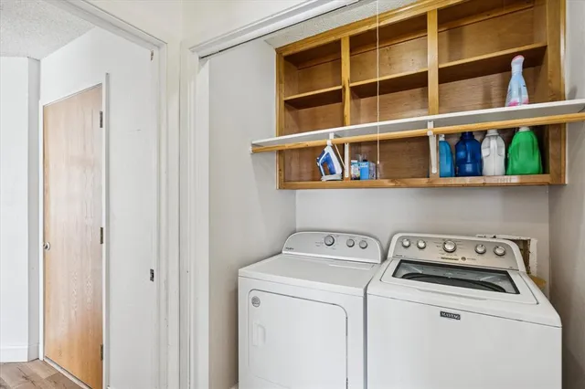 a view of yard with trees