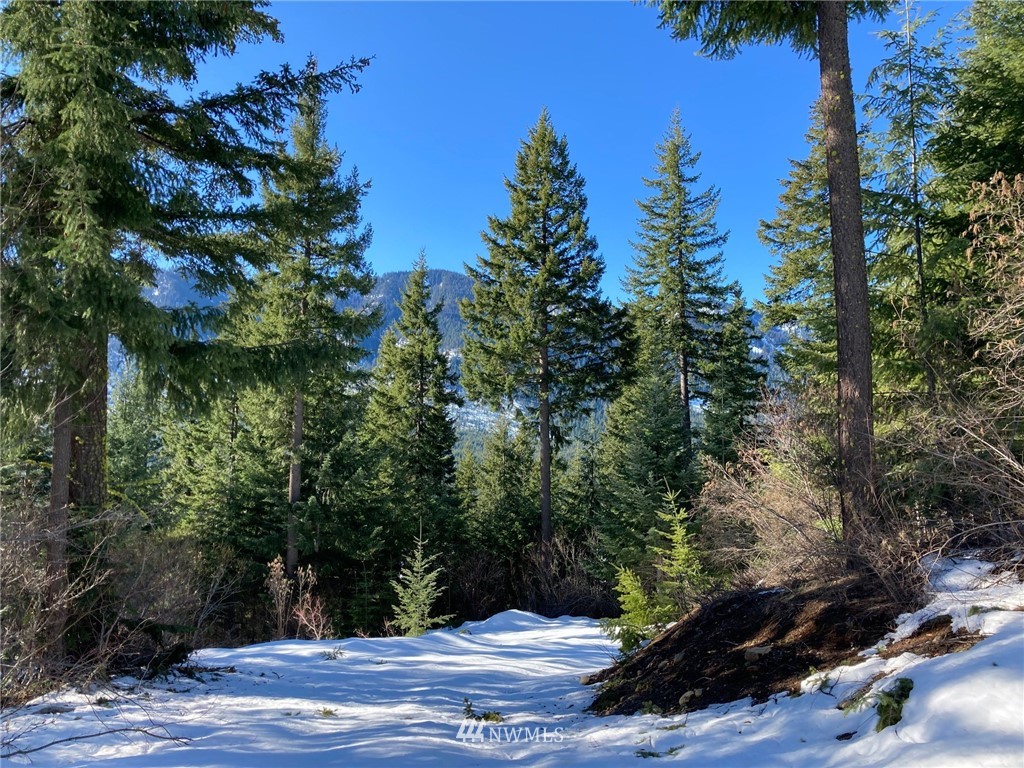1 Pasco Road Cle Elum, WA 98922 - Photo 5 of 19 Gallery Image 5
