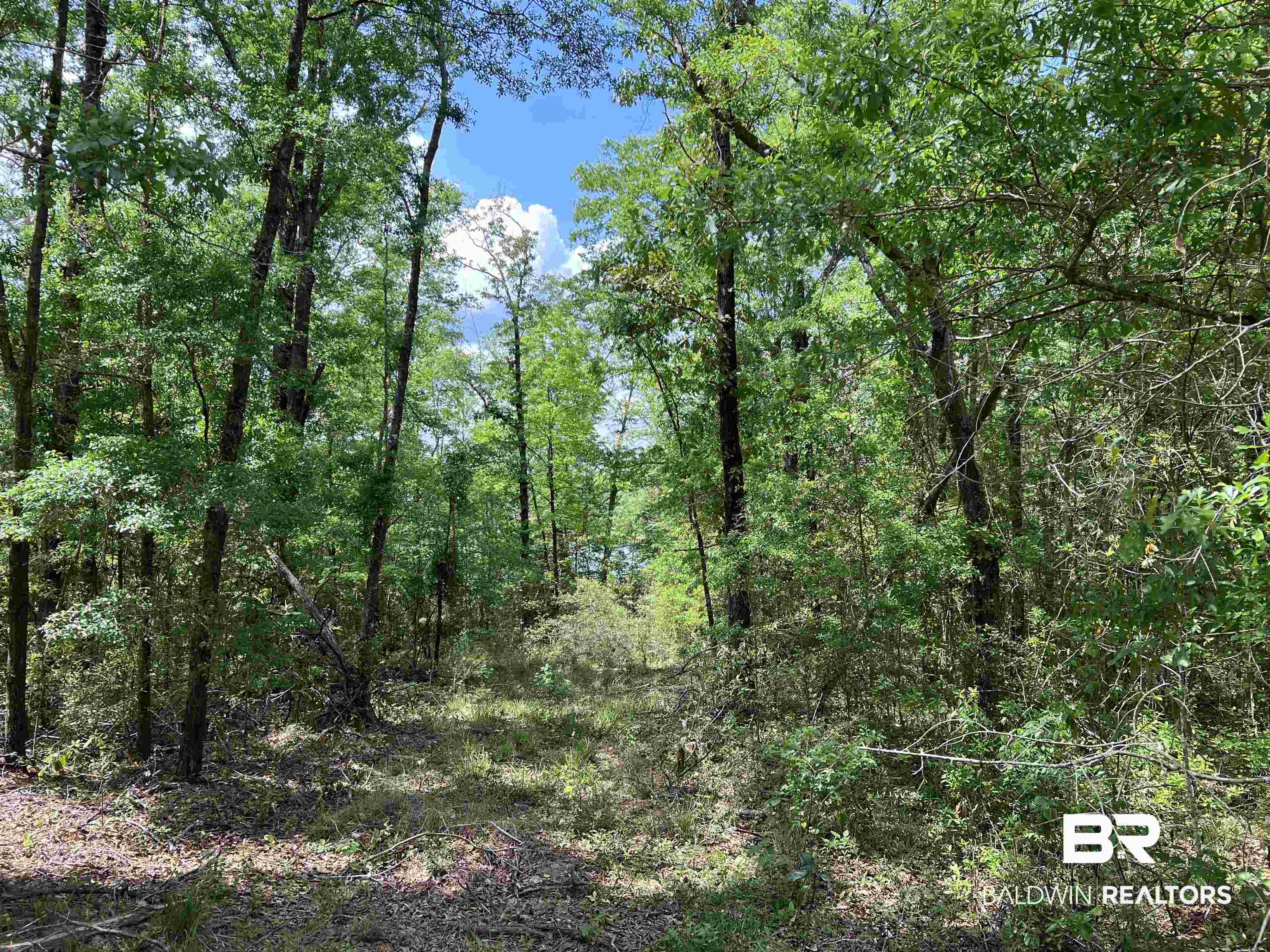 5100 Wiggins Lake Road Walnut Hill, FL 32568 - Photo 12 of 41