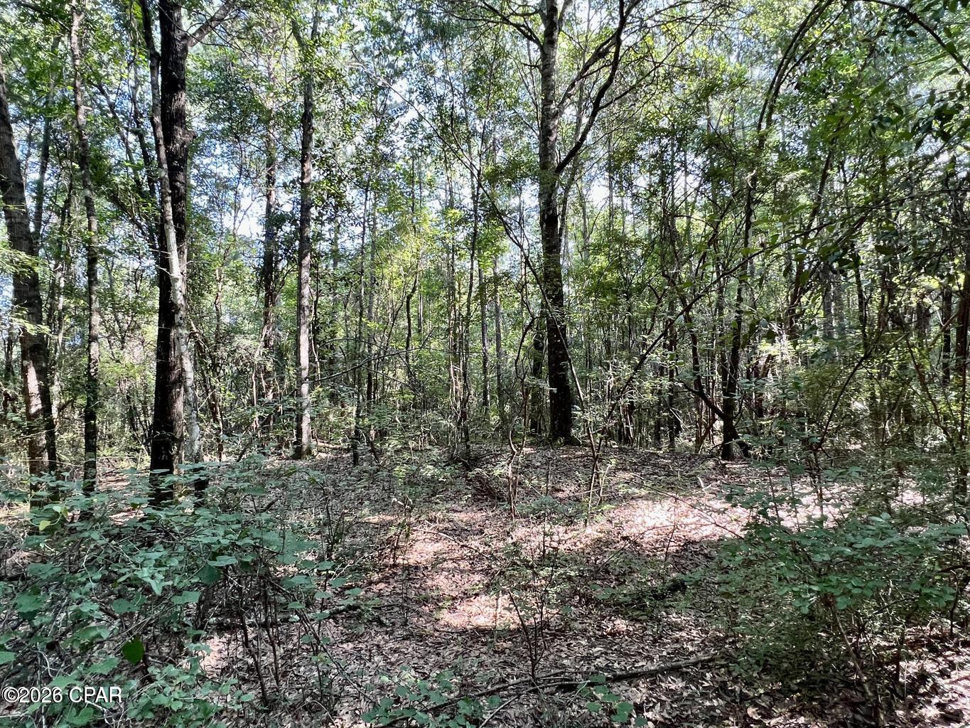 0 Broom Road Bonifay, FL 32425 - Photo 6 of 10