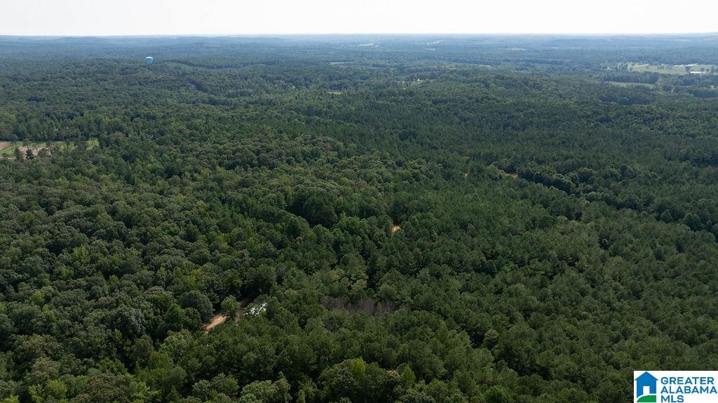 0 Wilkinson Road Fayette, AL 35555 - Photo 9 of 11