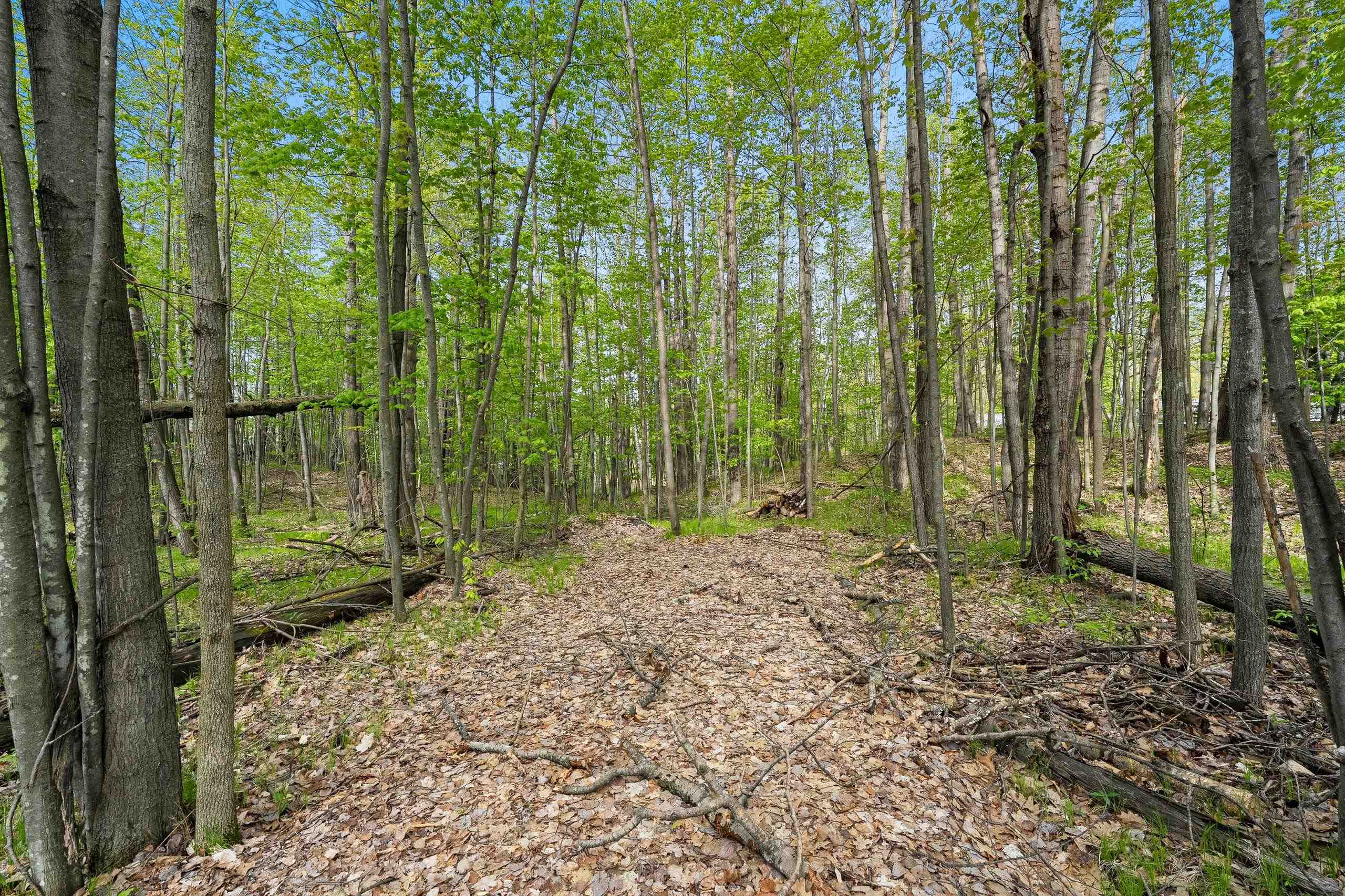 Birchwood Lane, Unit 3 Suring, WI 54174 - Photo 17 of 20