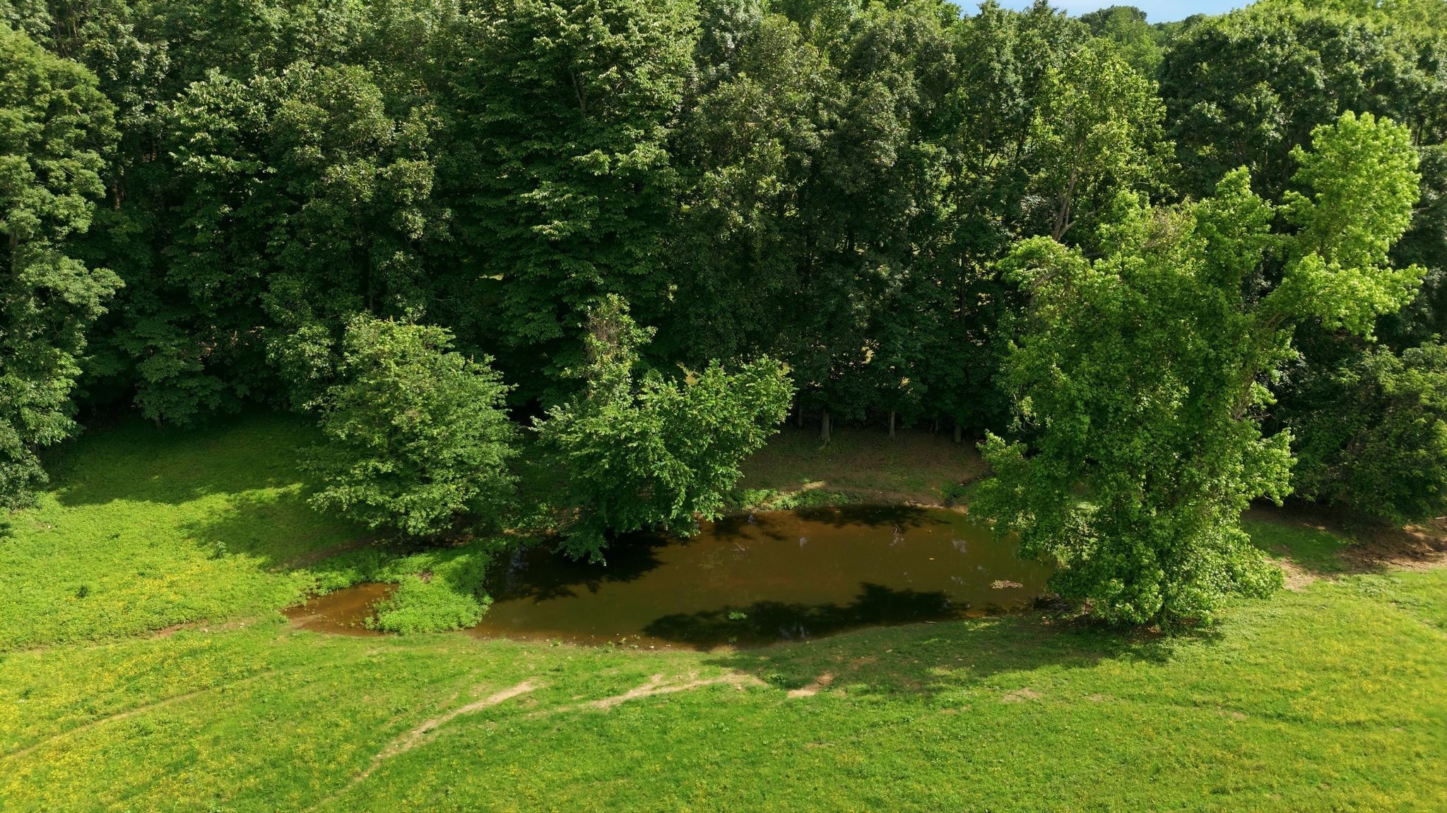 925 Sumac Road Pulaski, TN 38478 - Photo 72 of 84 Gallery Image 72