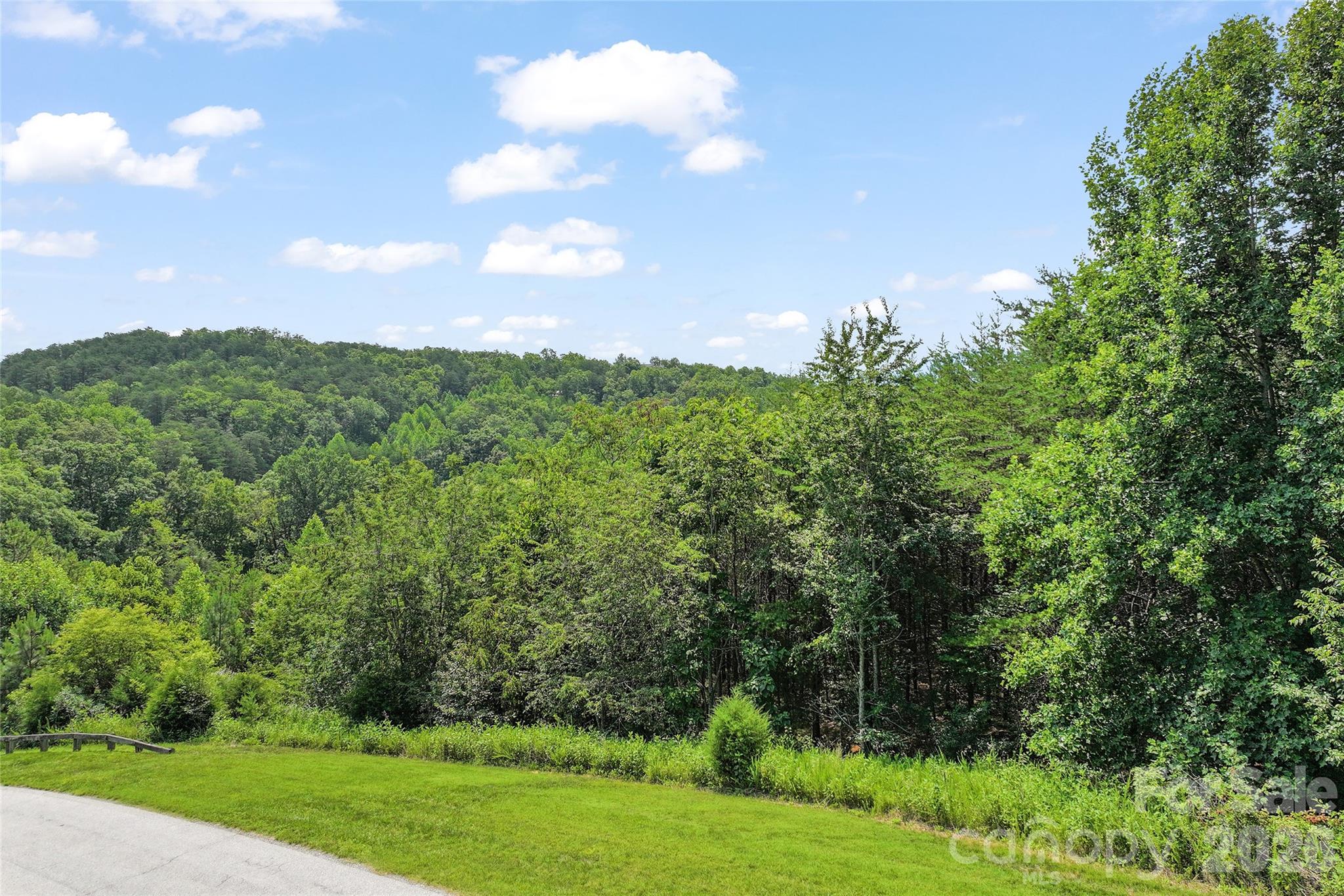 1361 Deep Gap Farm Road East Mill Spring, NC 28756 - Photo 6 of 23