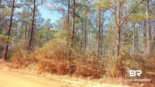 43 10 Mile Road Pensacola, FL 32534 - Photo 26 of 27