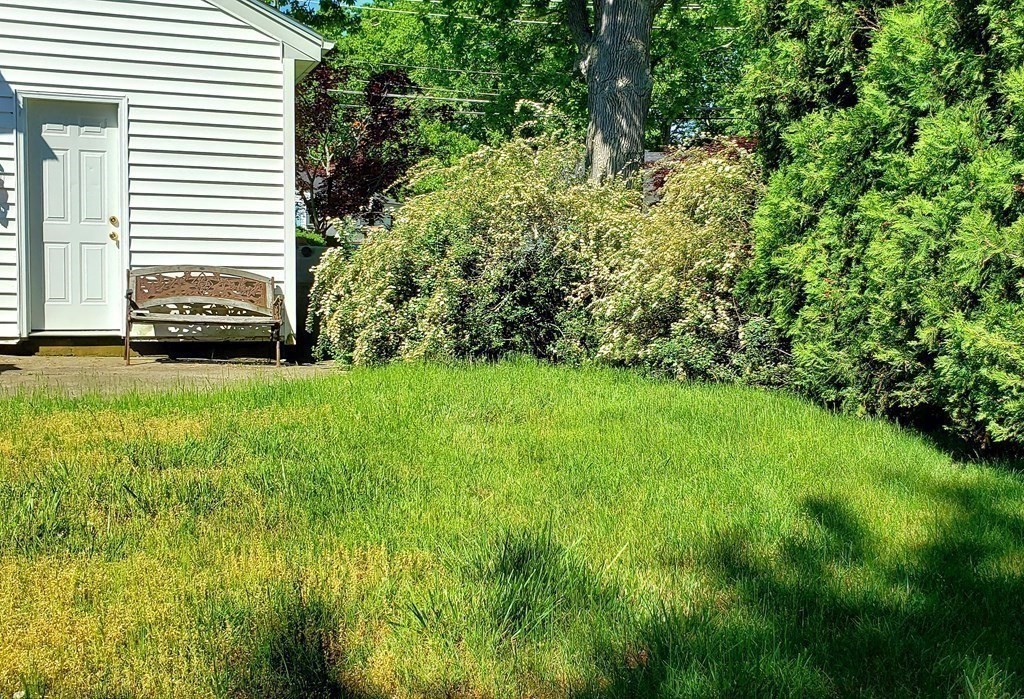 792 Ash Street Brockton, MA 02301 - Photo 11 of 42 a view of a garden with a house in the background