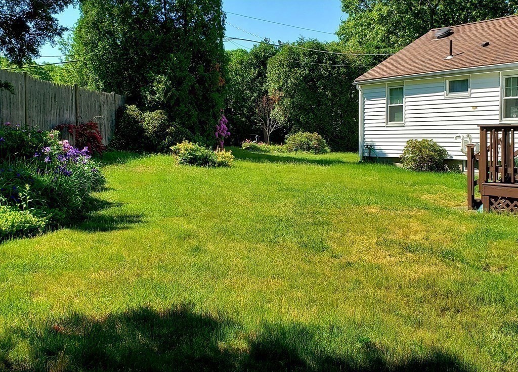792 Ash Street Brockton, MA 02301 - Photo 12 of 42 a view of backyard with garden and plants
