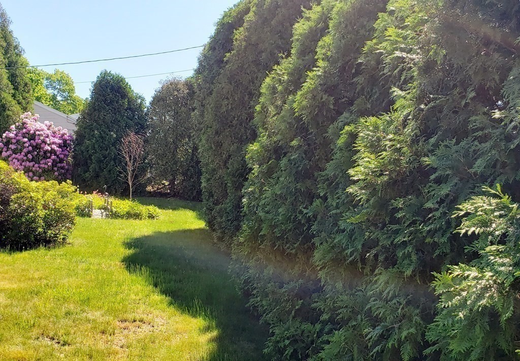 792 Ash Street Brockton, MA 02301 - Photo 14 of 42 a view of swimming pool from a yard