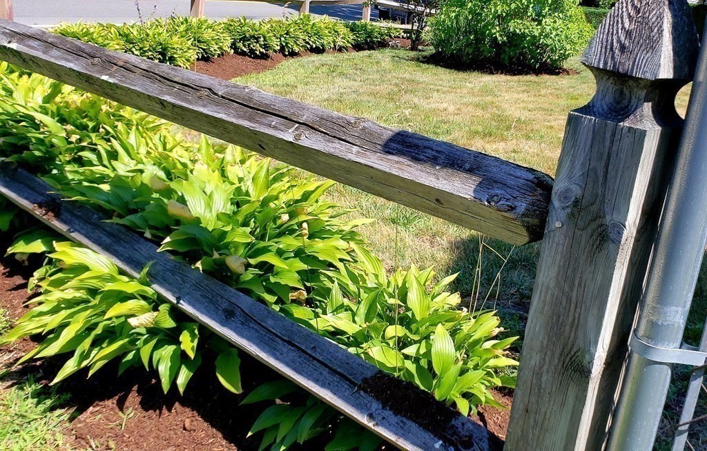 792 Ash Street Brockton, MA 02301 - Photo 18 of 42 a view of a garden with an umbrella