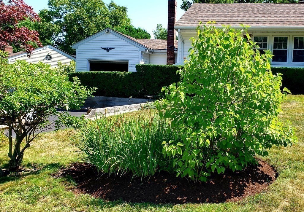 792 Ash Street Brockton, MA 02301 - Photo 19 of 42 a view of a garden in front of a house