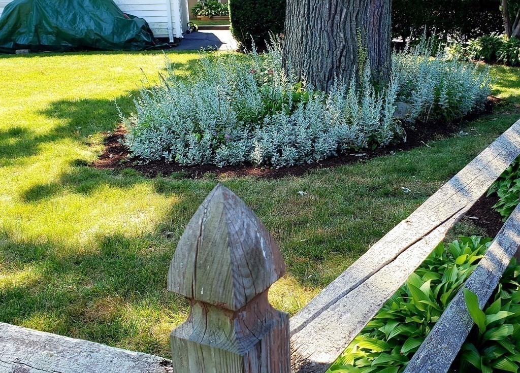 792 Ash Street Brockton, MA 02301 - Photo 20 of 42 a view of a swimming pool with a garden and plants