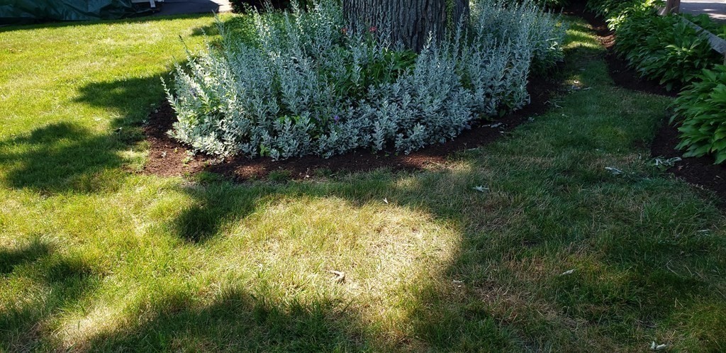 792 Ash Street Brockton, MA 02301 - Photo 21 of 42 a view of a garden