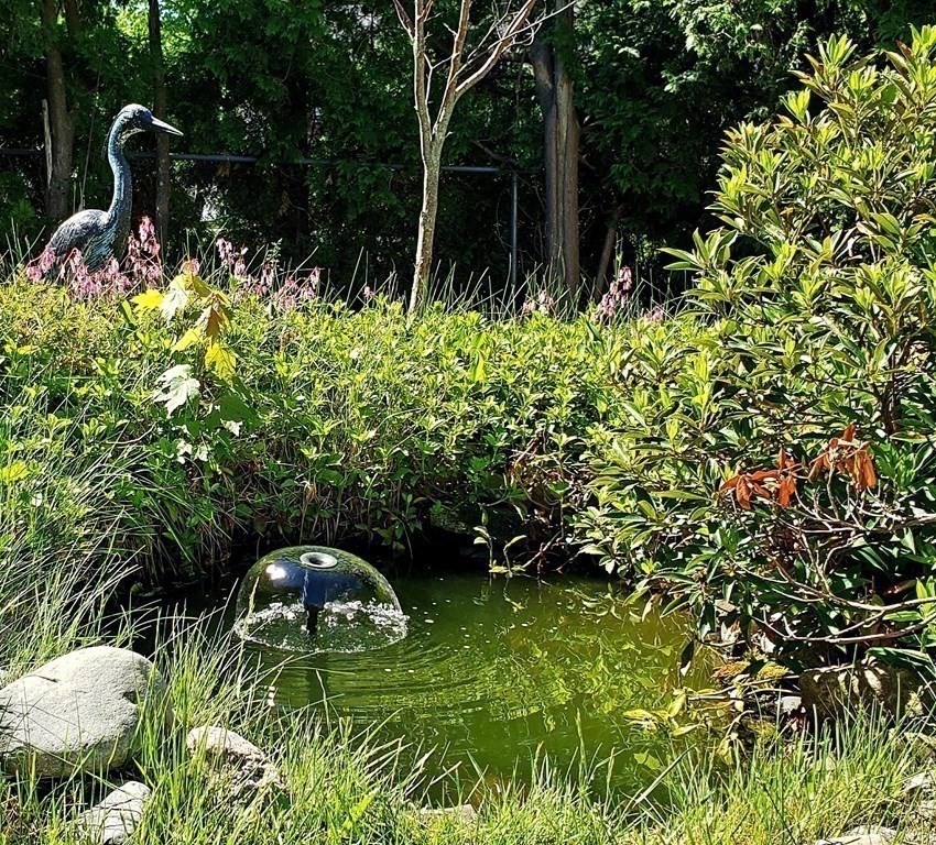 792 Ash Street Brockton, MA 02301 - Photo 6 of 42 a backyard of a house with lots of green space and fountain
